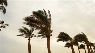 الثلث المشاغب يضرب الزراعة.. هل تقلبات الربيع تهدد المحاصيل الزراعية؟