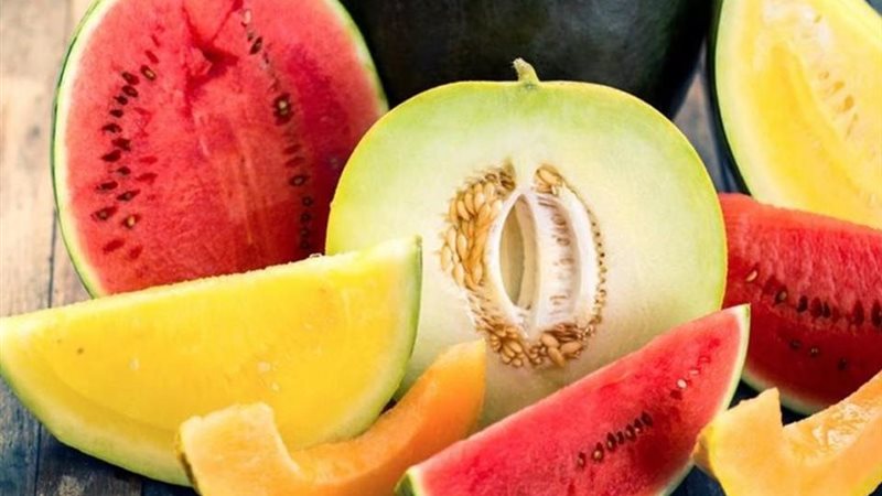 البطيخ والشمام