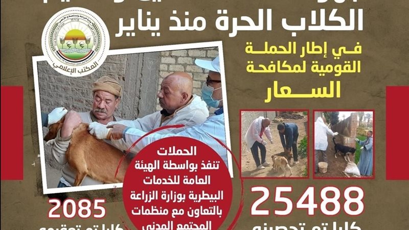 حملات تحصين وتعقيم