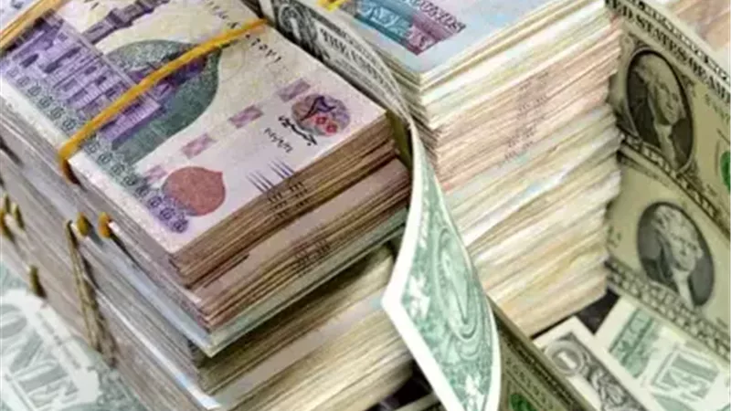 صناديق السيولة