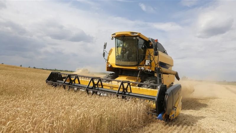 حقول القمح - الحصاد