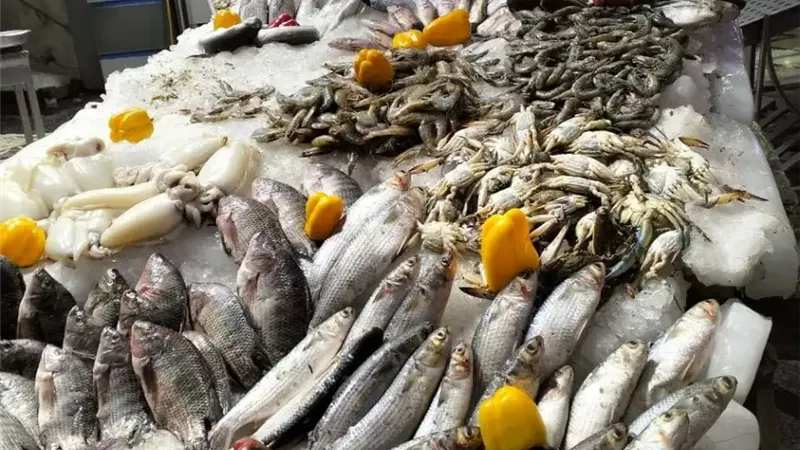 أسعار السمك 