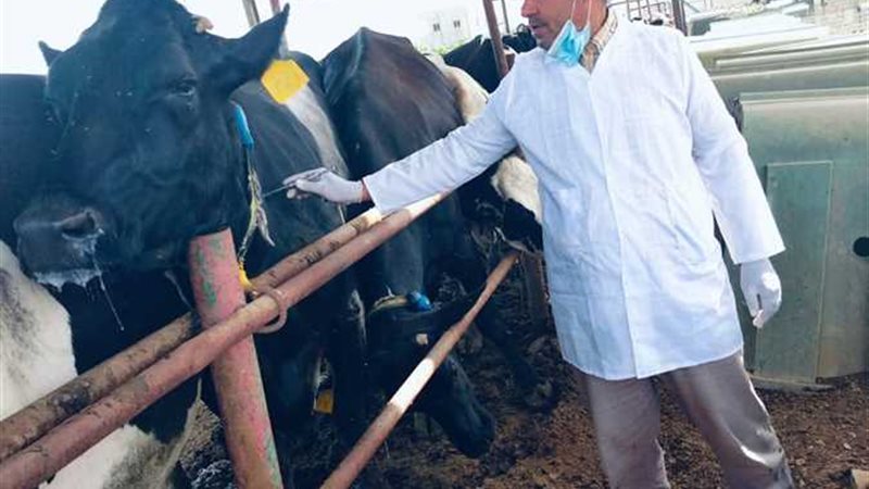 مكافحة البروسيلا