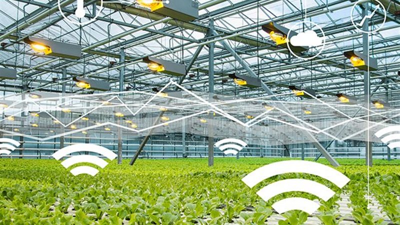 المزارع الذكية 