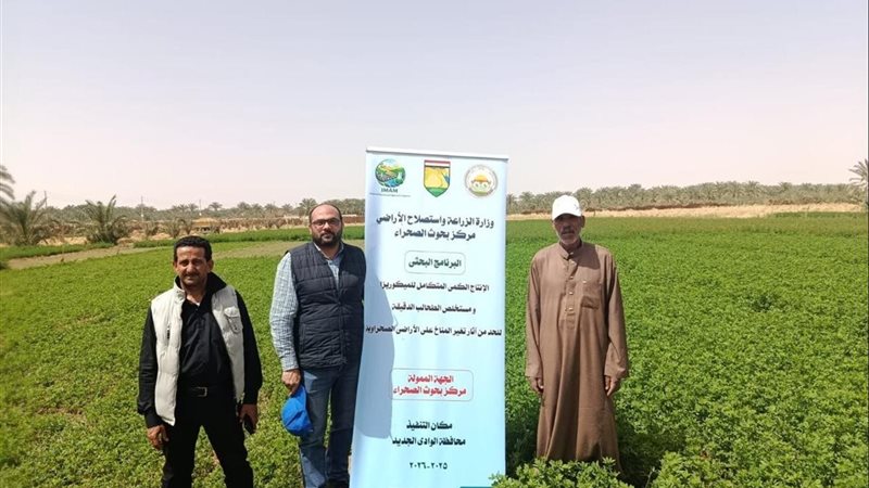 بحوث الصحراء 