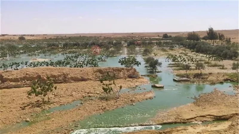 حصر الأراضي المتضررة