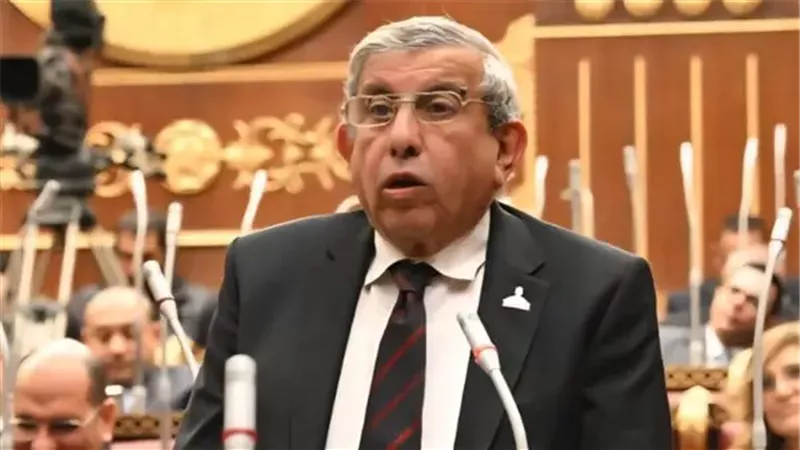 النائب علاء عبد النبي