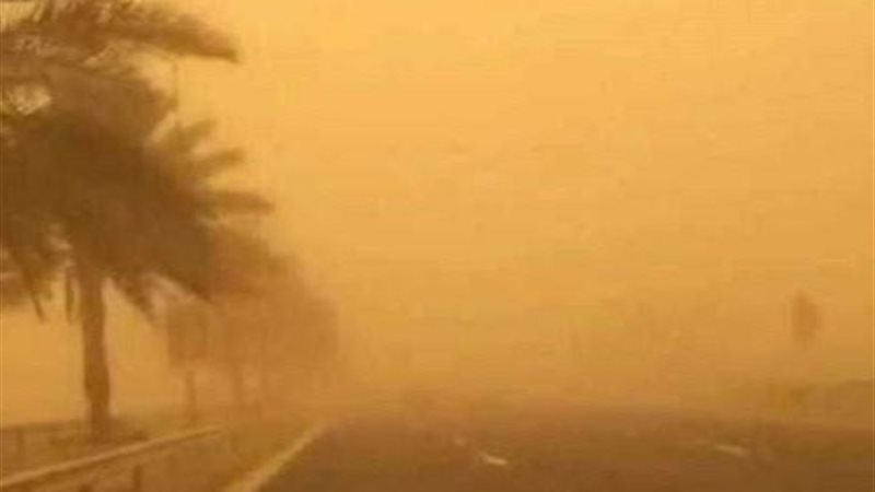 نشاط رياح