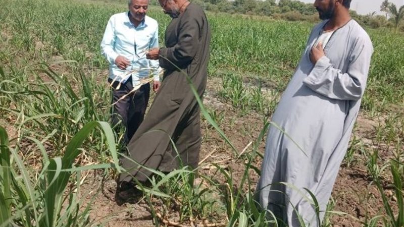 لجنة مكافحة الآفات