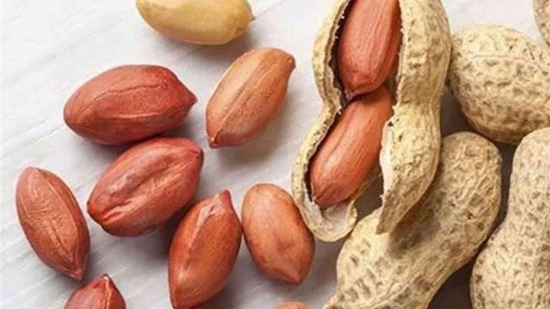 أرضك