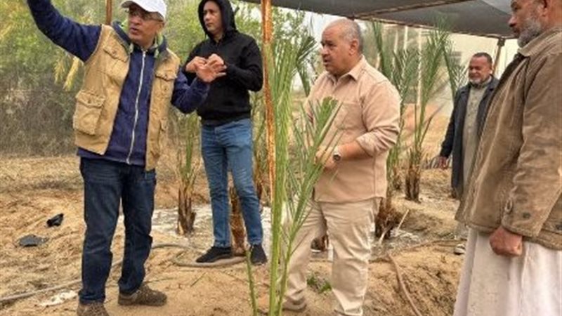 جولات ميدانية لمتابعة