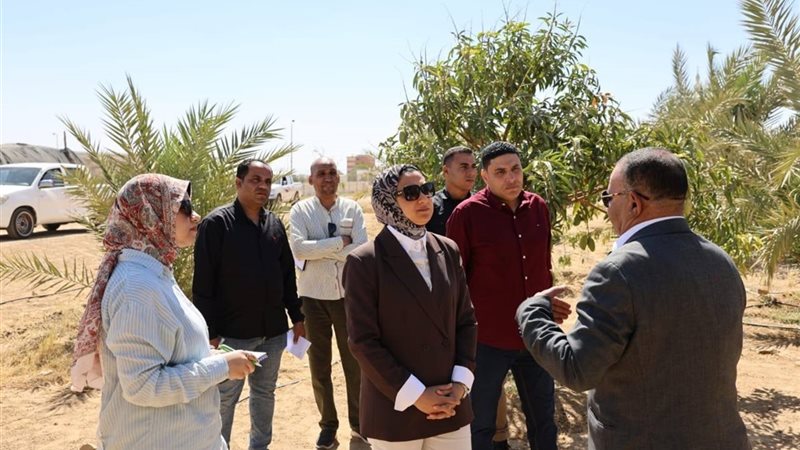 محافظ الوادي الجديد