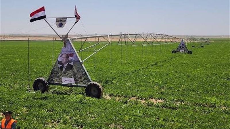 الشركة العربية لاستصلاح
