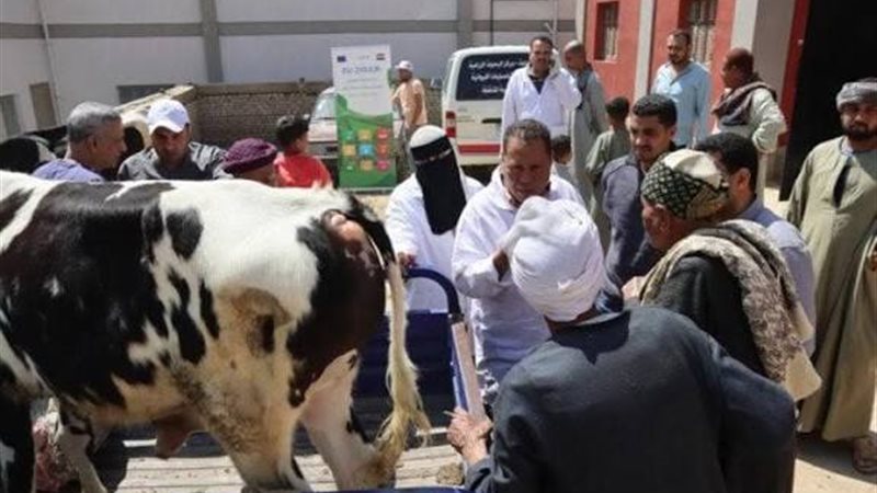قوافل بيطرية مجانية