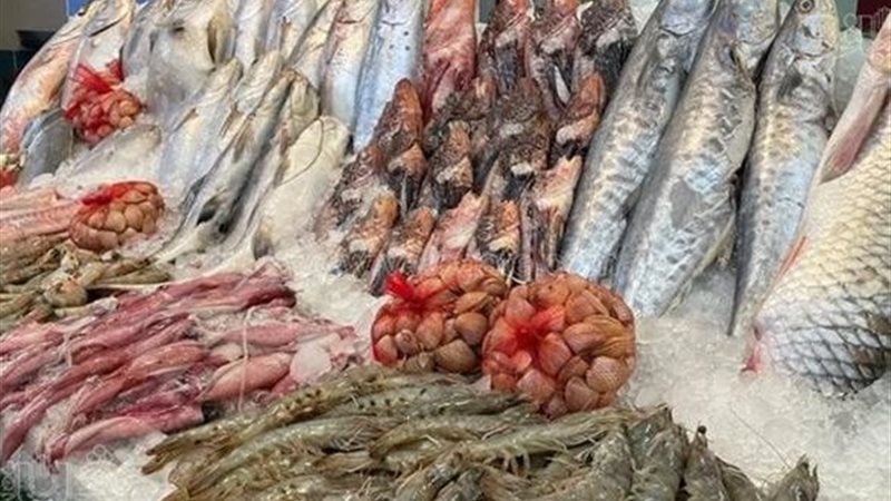 أسعار السمك اليوم