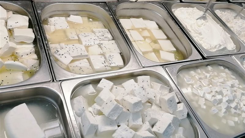 أصناف الأجبان 