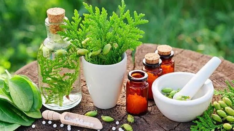 الأعشاب الطبية 