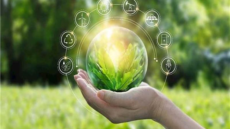 المشروعات الخضراء