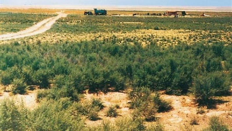 تدهور الأراضي الرعوية
