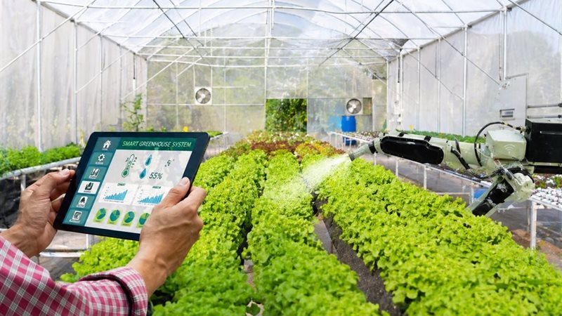 الصوب الذكية 