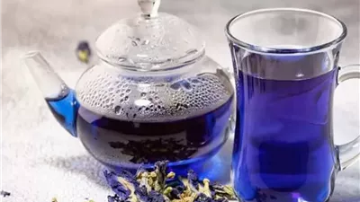 الذهب الأزرق في الأقصر.. محصول استراتيجي جديد يفتح آفاق التصدير من قلب الصعيد