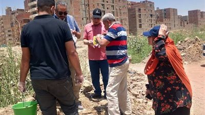 زراعة الجيزة تبدأ تعبئة طعوم مكافحة القوارض لحماية المحاصيل الاستراتيجية وتعزيز الأمن الغذائي