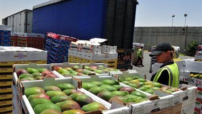 «الحجر الزراعي» يستعرض اشتراطات الاتحاد الأوروبي الجديدة لتعزيز تنافسية الصادرات المصرية
