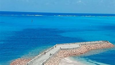 وزير الري يقود خطة لحماية سواحل الإسكندرية ودمياط ومطروح وكفر الشيخ