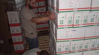 المنوفية تكثف حملاتها على مزارع الدواجن والإنتاج الحيواني لضمان جودة الأعلاف والأمان الحيوي