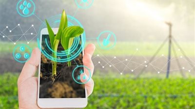 المزارع الرقمية.. مستقبل الزراعة يبدأ من “إدارة الحقل بالموبايل