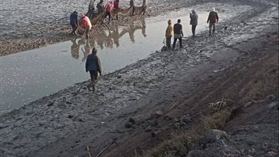مزرعة برسيق السمكية تواصل تعزيز الإنتاج.. و70 طنًا حصيلة أحدث أعمال الصيد