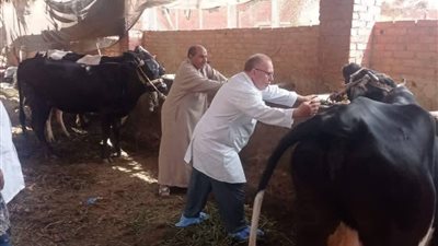بـ 4.4 مليون جرعة تحصينية حتى الآن.. 