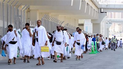 خبيرة: بكتيريا الأمعاء تساعد الحجاج على تحمل الإرهاق وأداء المناسك بخشوع