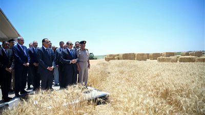 برلماني: مشروع الدلتا الجديدة خطوة استراتيجية لتعزيز الأمن الغذائي والتنمية الذكية