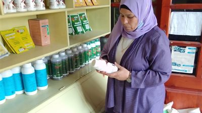 حملات ميدانية مكثفة لضبط صرف الأسمدة المدعومة بكفر الشيخ