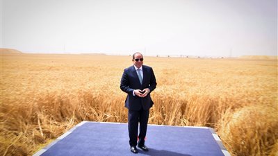 نائب مشروع «الدلتا الجديدة» يعيد رسم الخريطة الزراعية ويفتح أبواب الأمن الغذائي لمصر