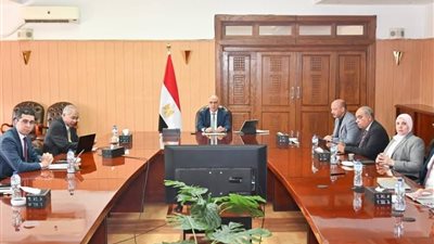 مصر واليابان توحدان الرؤى حول المياه والمناخ استعدادًا لمؤتمر الأمم المتحدة 2026
