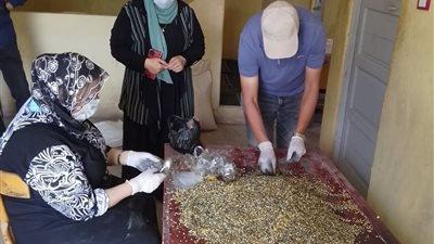 حملات رقابية موسعة على الجمعيات الزراعية بمحافظة كفر الشيخ