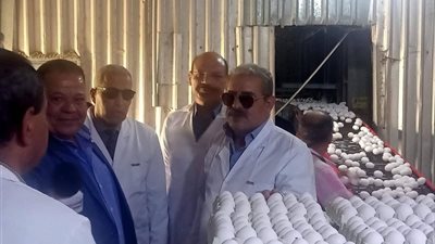 بتكليف من فاروق.. 