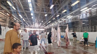 الخدمات البيطرية تعلن وقف الإجازات بالمجازر والوحدات البيطرية في العيد