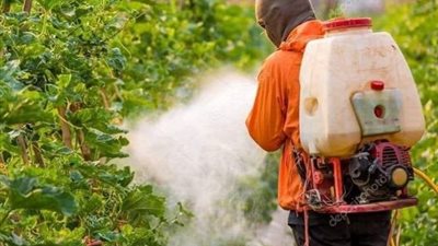 ارتفاع الحرارة يزيد خطر الآفات.. تعرف على قواعد استخدام المبيدات بشكل آمن وفعال