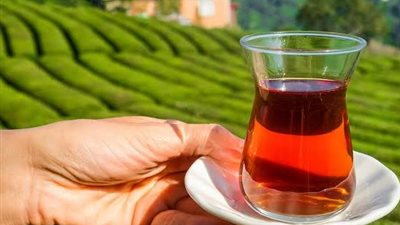 سلطان المزاج في يومه العالمي.. أسطورة صينية حكمت عقول المصريين وهل تكسر البحوث الزراعية قيود المناخ لإنتاجه محلياً؟