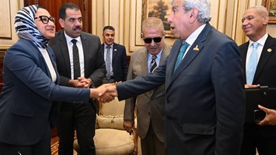 محافظ الوادي الجديد تستعرض بمجلس الشيوخ استراتيجية الاستثمار الزراعي والطاقة النظيفة