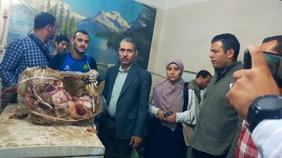 ضبط 3 أطنان لحوم وفراخ وأسماك غير صالحة للاستهلاك داخل مخزن غير مرخص بمنفلوط