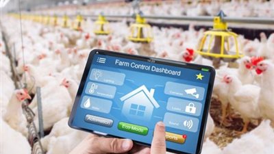 الذكاء الاصطناعي يدخل مزارع الدواجن.. مراقبة التغذية والحرارة بضغطة زر