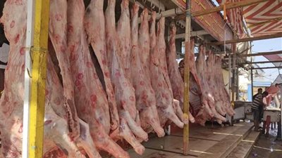 احذر الذبح خارج المجازر.. مخاطر صحية وبيئية