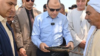     محافظ الغربية يشهد إطلاق مليون زريعة بلطي نيلي بفرع دمياط لدعم الثروة السمكية