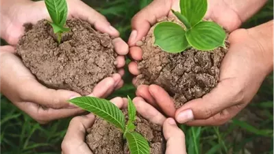 تحليل التربة قبل الزراعة.. الخطوة الذهبية لزيادة الإنتاج وتقليل خسائر السماد