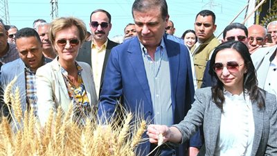 «المكتب غير الواقع».. وزير الزراعة يُصحح بيانات تكلفة القمح خلال جولته بالبحيرة