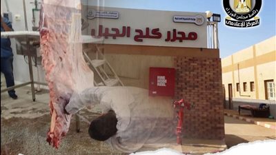 “التنمية المحلية” تُشغّل تجريبيًا مجزر “كلح الجبل” بإدفو.. طاقة 20 رأسًا للساعة وتطوير شامل بأحدث النظم